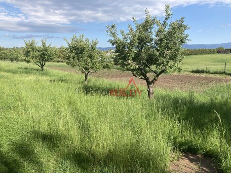 Prodej stavebního pozemku 2345 m²  Žalany
