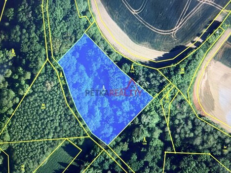 Les s potokem uprostřed přírody – Polom u Hranic | 4 700 m²