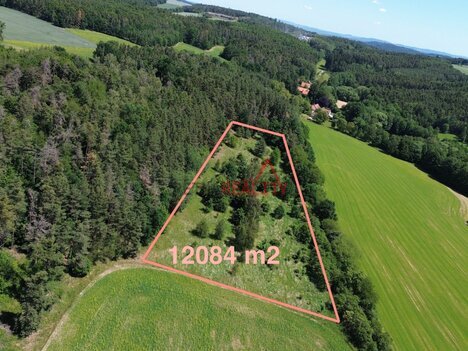 Prodej pozemku o výměře 12 084 m² – Blažim nad Vltavou, obec Neveklov, okres Benešov